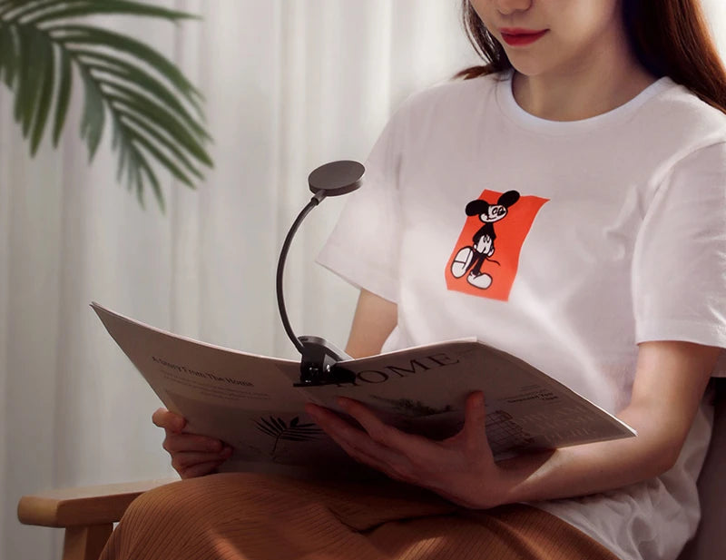 Svitil Desk Lamp