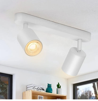 Thalion Spot Lights