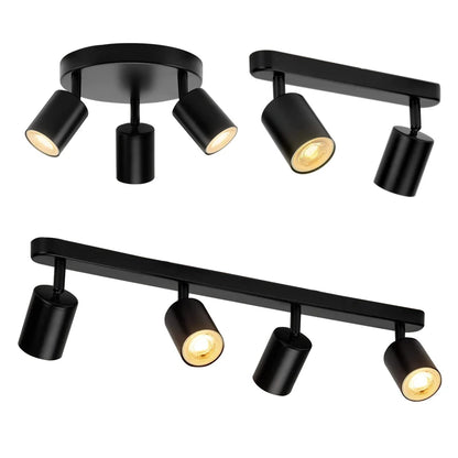 Thalion Spot Lights